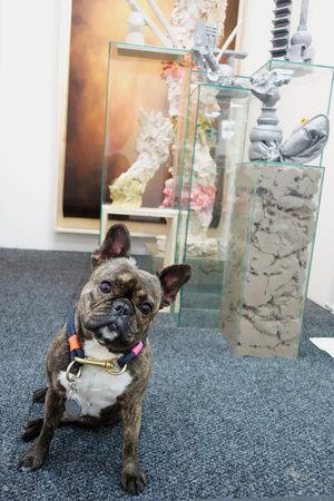 Why are those sculptures behind glass? I can see them, but I can't smell them!"