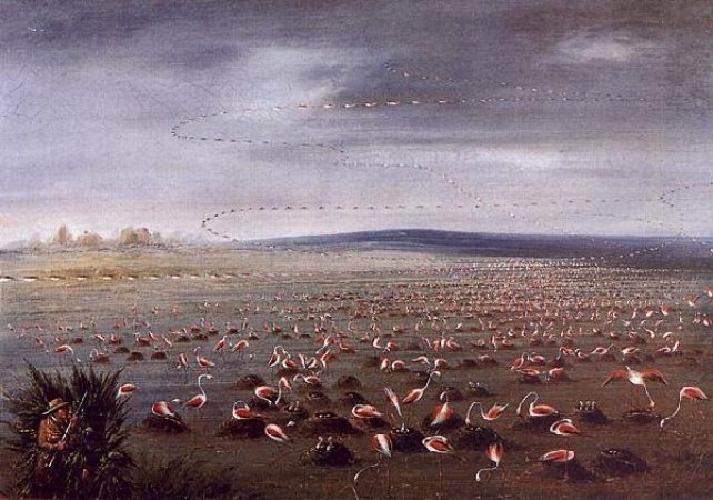 Ambush for Flamingoes (1856)