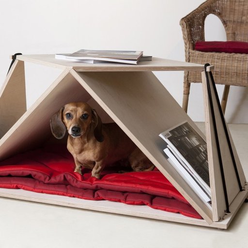 10 Architectural Designs to Please Your Pets