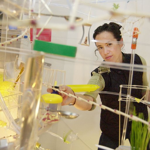 Sarah Sze on Inventing a New Mode for Sculpture