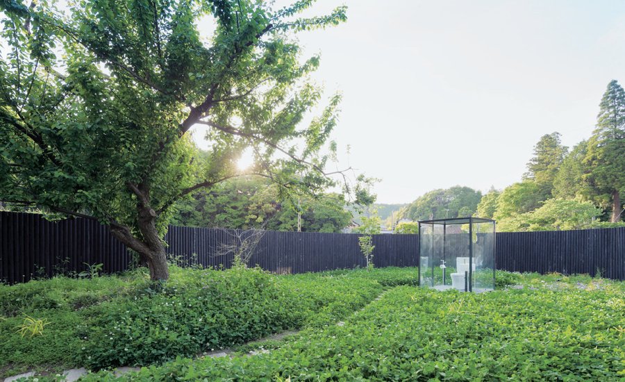 Looking for the Invisible Outhouse? See 10 of Sou Fujimoto's Most Incredible Designs