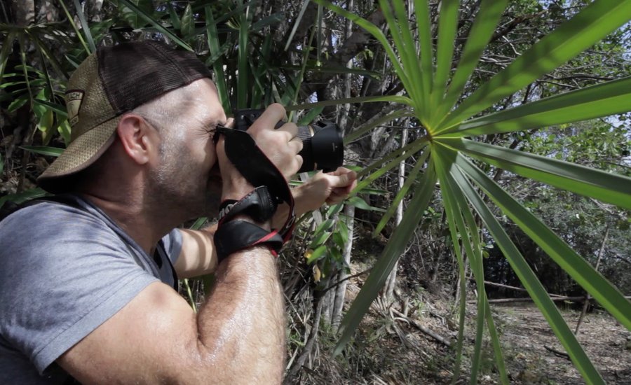 Watch Artist Bill Claps’s Lyrical Quest for Inspiration in the Cuban Jungle