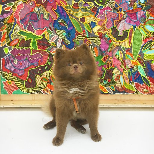 7 Dogs to Follow on Instagram for the Inside Scoop on NYC's Art Scene