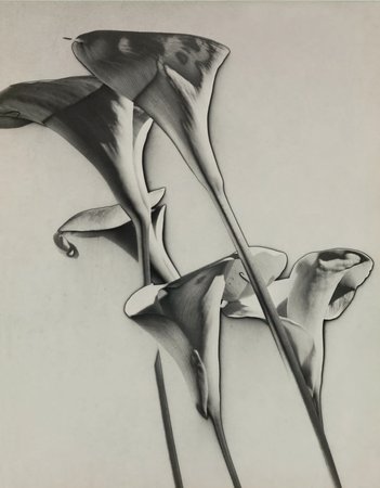 Man Ray, Untitled, 1930