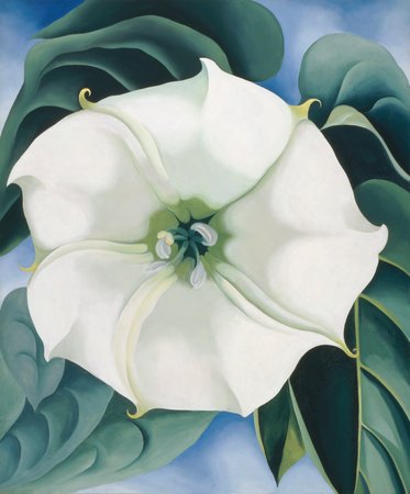 Georgia O'Keeffe, Jimson Weed/White Flower No. 1, 1932