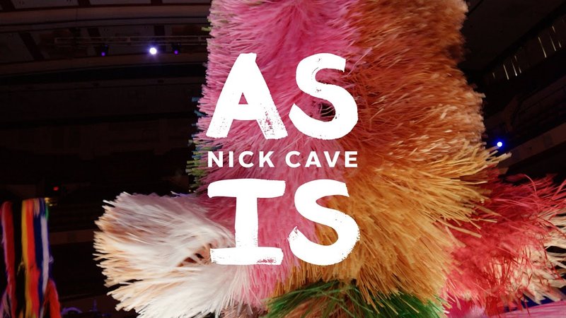 Nick cave