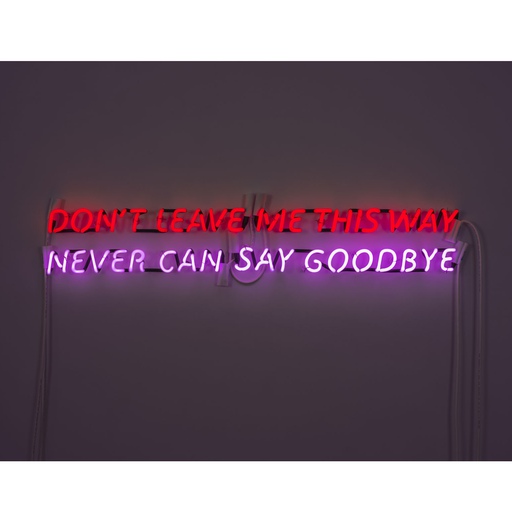 Steven Evans turned 2 disco classics into one timeless neon work