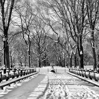 Andrew Prokos, The Mall in Winter, Central Park