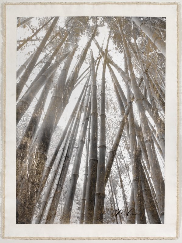 Bill Claps's Bamboo Forest Canopy is available on Artspace for $900