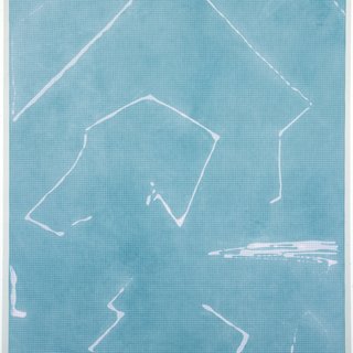 Cheryl Donegan, Untitled (blue and pink object mapping)
