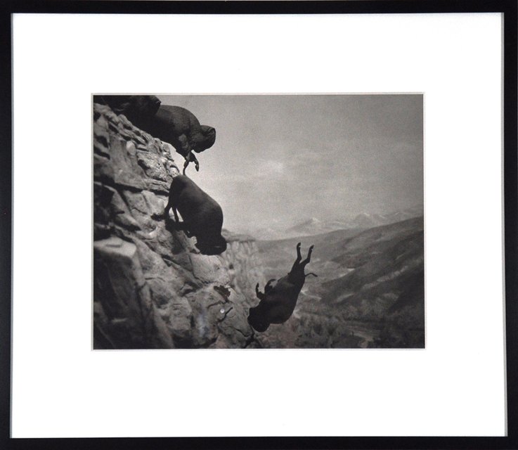 David Wojnarowicz, Untitled (Buffaloes)