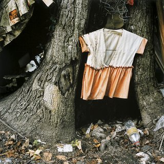 Elijah Gowin, Child's Dress in Tree Trunk