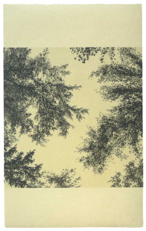 view:82252 - Georgia Marsh, Kant's Canopy I, II, III, IV - 