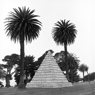 Jenny Lynn, Pyramid & Palms