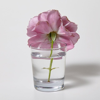 Luciano Fileti, Object Floral 8101 (Rosa rubiginosa)