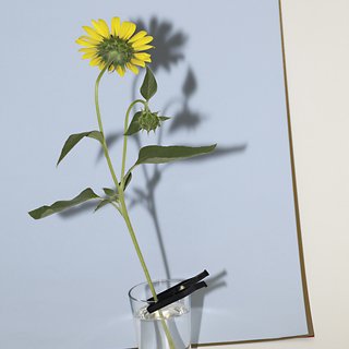 Luciano Fileti, Object Floral 8672 (Helianthus annuus)