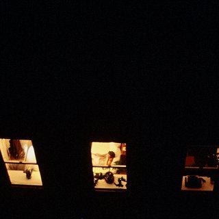 Maxi Cohen, Out My Back Window II, 1981