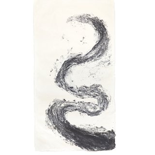 Monika Grzymala, Serpent Pulp Painting (Morph)