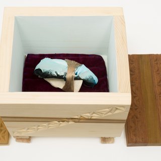 Patricia Fernández, A Record of Succession: Box for C.A.