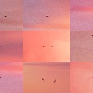 Penelope Umbrico, Suns from Sunsets from Flikr - Out-takes/Birds (Pink)