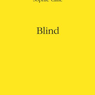 Sophie Calle, Blind