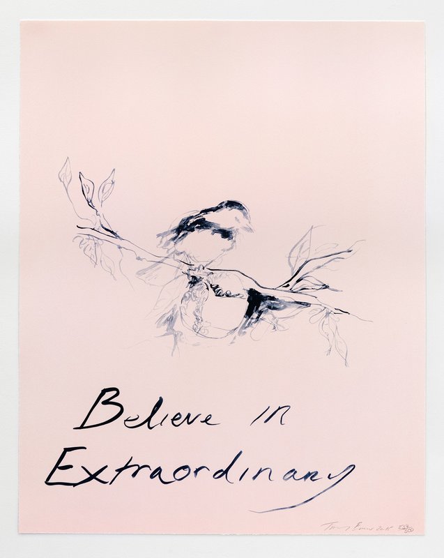 Believe in Extraordinary (2015) is available on Artspace for $1,700