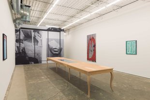 David Petersen Gallery art gallery