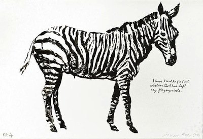 zebra