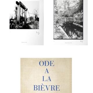 Louise Bourgeois, Ode a la Bievre - limited edition