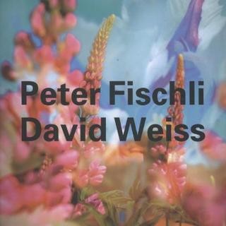Peter Fischli & David Weiss, Peter Fischli David Weiss