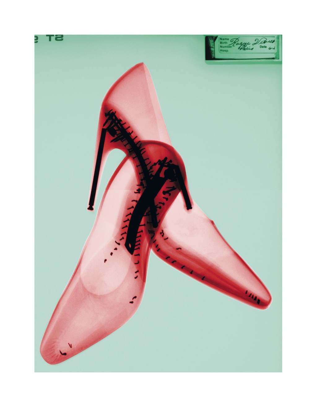 Steve Miller, Roger Vivier Red, 2012