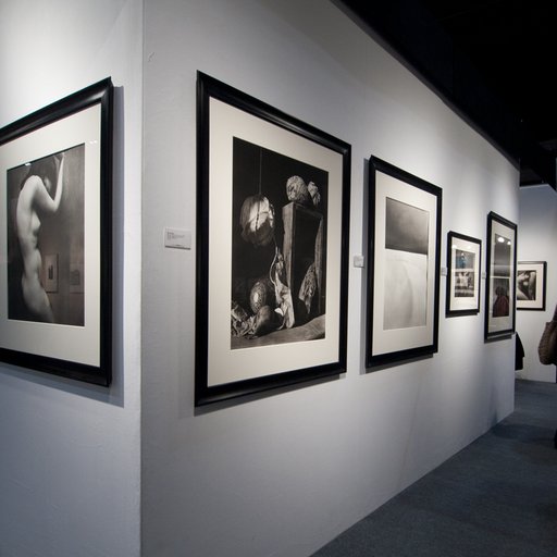 Photos Put on a Vivacious Display at AIPAD 