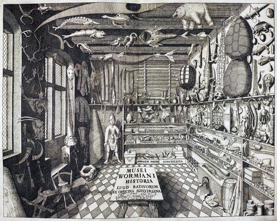 wunderkammer