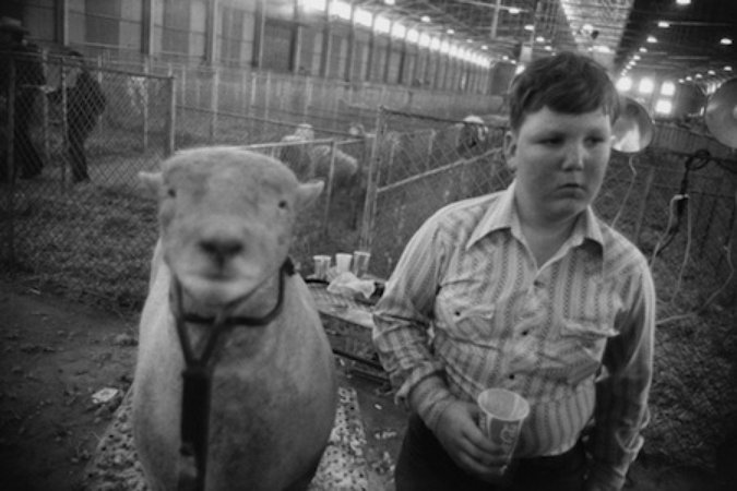 winogrand