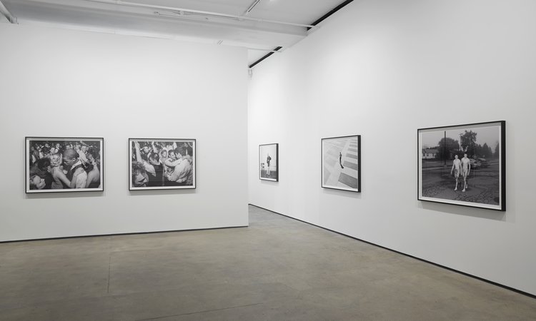 Installation shot of Songbirds at Sean Kelly