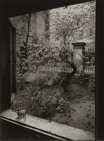 Gelatin silver print, 9 x 6 11⁄16 inches (22.9 x 17 cm). Art Gallery of Ontario,