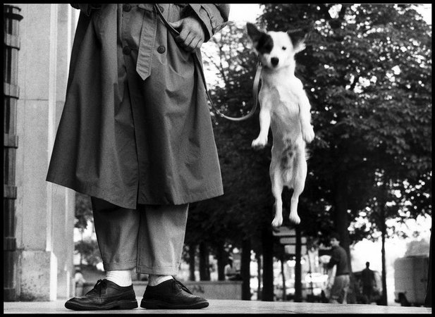 Erwitt