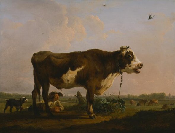 A Bull