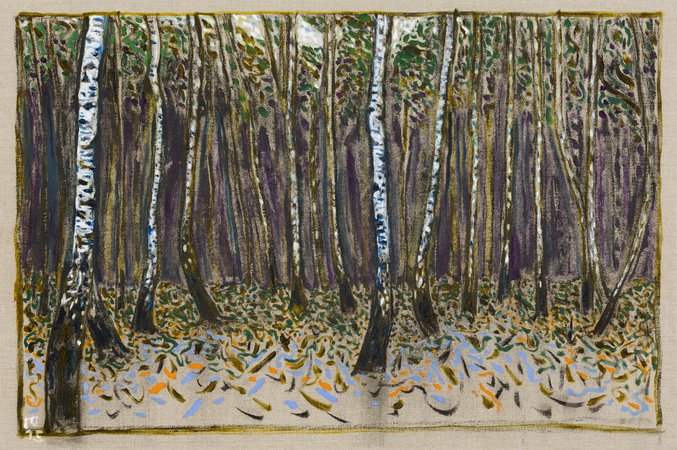 birch wood , 2015