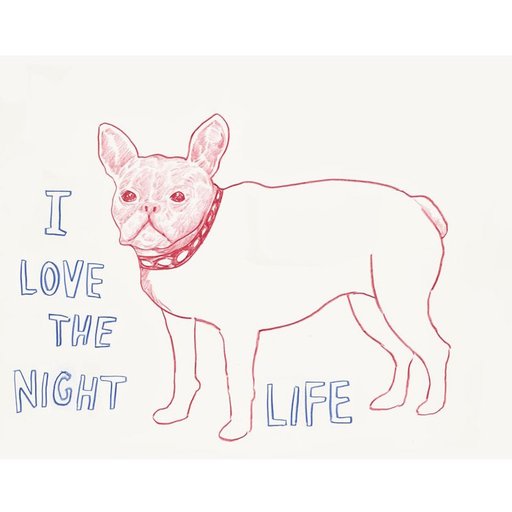 Dave Eggers's Hilariously Irreverent Animal Art