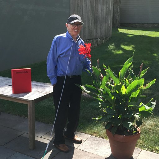 Ellsworth Kelly on How He Draws Inspiration From Nature for His Art