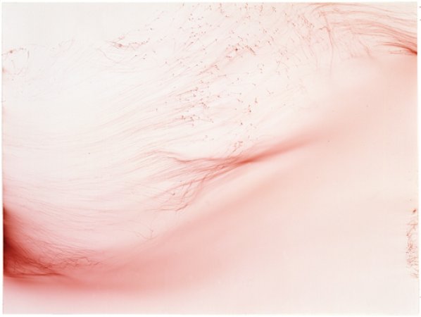 Wolfgang Tillmans Freischwimmer 25