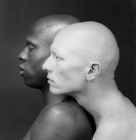 Mapplethorpe Look at the PIctures