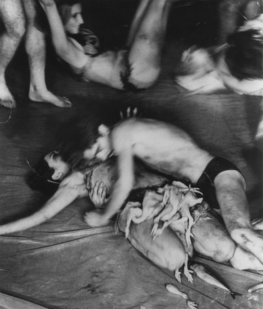 Carolee Schneemann Meat Joy