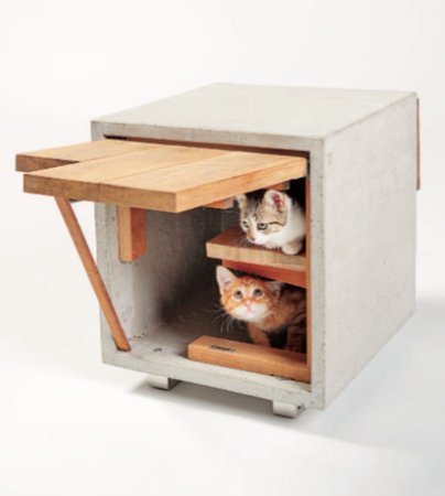 Cat Cube