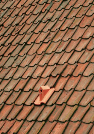 Birdhouse Rooftile