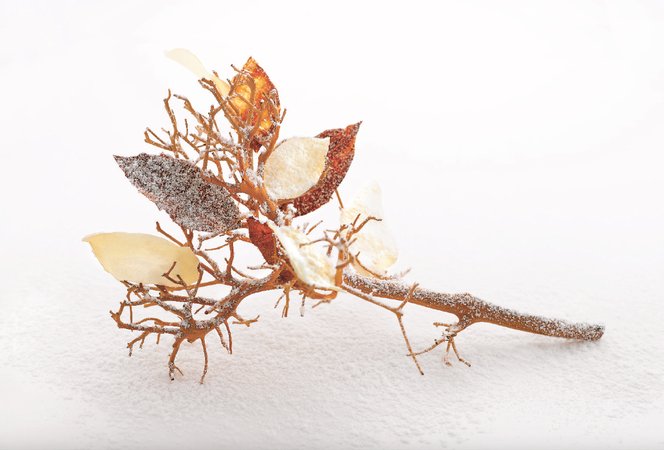 Winter Tree: Jerusalem Artichoke, Potato