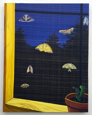 NIKKI MALOOF An Eclipse of Moths, 2016