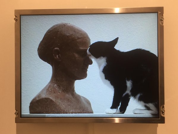 LUZIA HÃœRZELER Self-Portriat for the Cat (2006) at Galerie GisÃ¨le Linder (Basel) at Art Basel