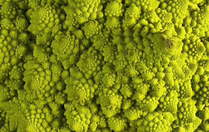 Romanesco Broccoli